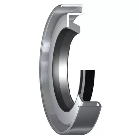 10035 SKF