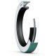105X130X12 CRW1 V SKF