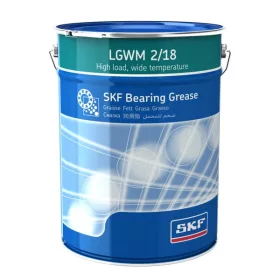 LGWM 2/18 SKF