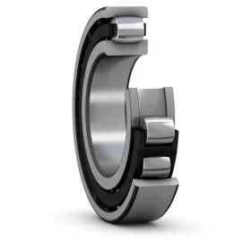 SRV.20204 TN9 SKF
